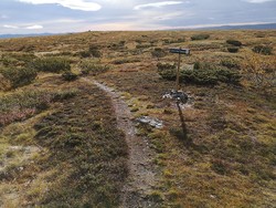 Fosheimgrenda stidele