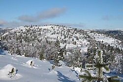 Gullringfjellet