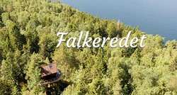 Falkeredet tretopphytte