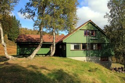 Alexander Grieghytten