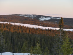 Raudfjellet