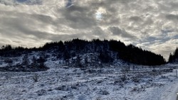 Høghaugen ved Frotveit