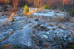 Sandvikskollane Sør