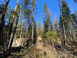 Nes bygdeborghøgda Nord