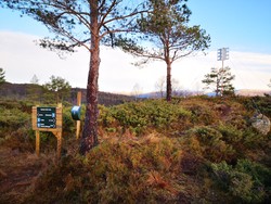 Dyråsen
