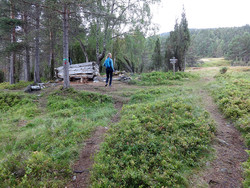 Tursti Storehaugfjellet via Bjørkestølen