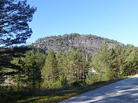 Øynuten