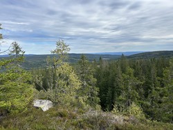 Øst for Storsjøhøgda