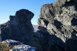 Veslehorn - pinakkel i sør