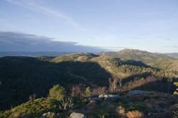 Vest for Vestalifjellet