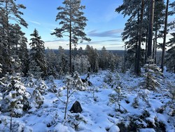 Hanatjennberget Sørøst