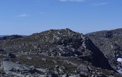 Vest for Kjellarnuten