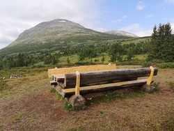 Skogshorn rasteplass