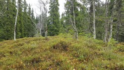 Kleivmyra, søraust for