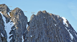 Liadalsnipa østryggen