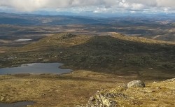 Vest for Djuptjernskampen