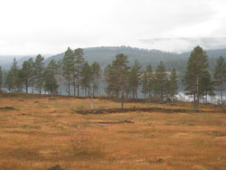 Gjevingåsen