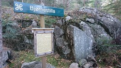 Bjørnestilla