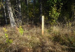 Tønsberg kommunes geografiske midtpunkt