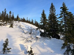 Hornburufjellet