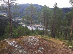 Geitåsen