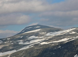 Høgtunga