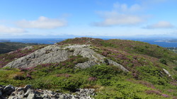 Kongsfjellet - høyeste punkt