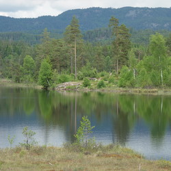 Nisterudtjenn Rasteplass