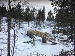 Kleivelvi bro ved Kårdal