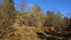 Helgheim (tuft), Løvstakken