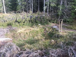 Kulmile ved Styggåsen