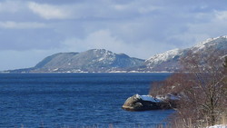 Fjellstjørnryggen