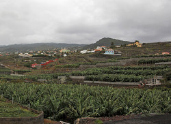 Montaña de la Breña