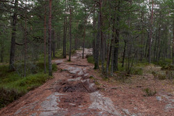 Grønliåsen