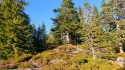 Skorpeberget