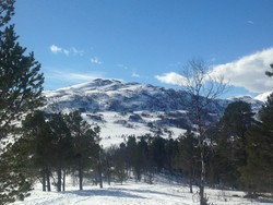 Løfallhøgfjellet