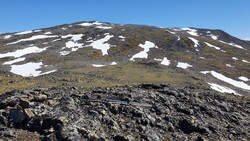 Store Jukleeggi Vest