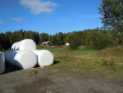 Viktjernhøgda parkering