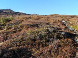 Gilafjell Nord stidele