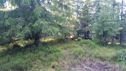 Erstjernet, sør for