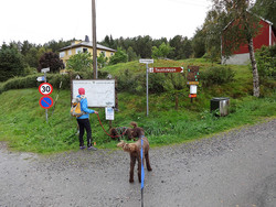 Tursti Mauseid - Rollonhytta - Vardane (Sulafjellet)