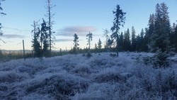 Vottestadlangmyra, sør for