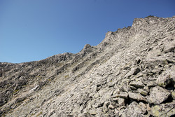 Hårstadnebba - Svært løs ur