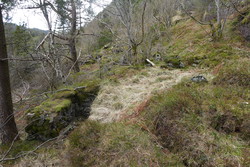 Ruin SSV for Olsokfjellet