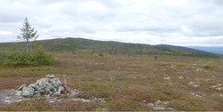 Dølfjellet