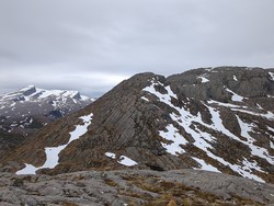 Rundehaugen