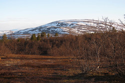 Stuorra Biŋalvárri