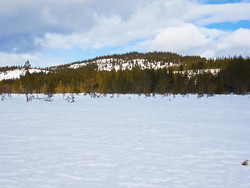 Ringsrudåsen