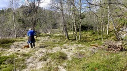 Fagerheim (tuft), Løvstakken