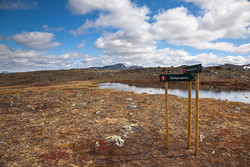 Stidele mot Stuttgongkampen